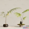1238648 - Plant - VRAY  CORONA - 3D MODEL - 448