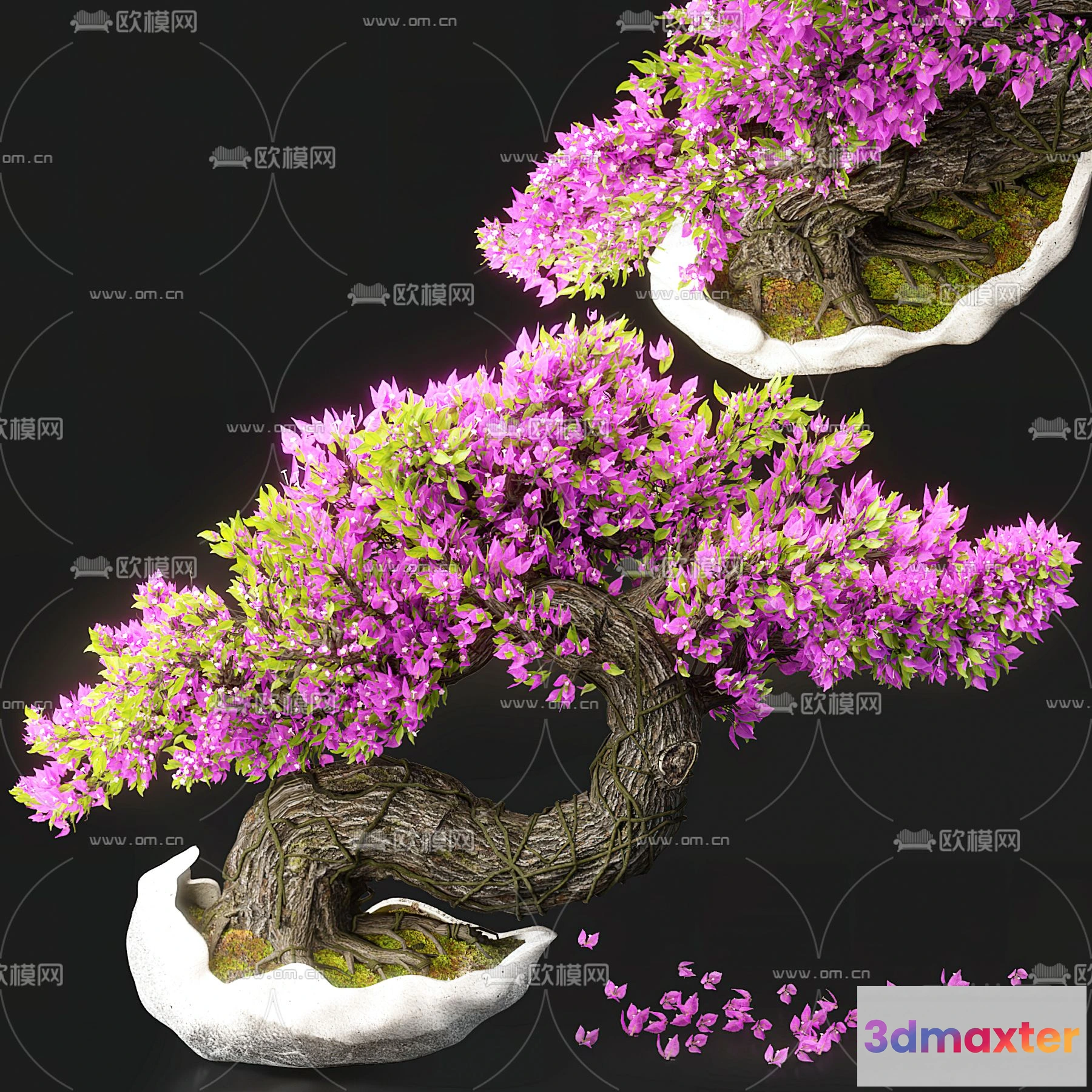 1238736 - Plant - VRAY  CORONA - 3D MODEL - 492