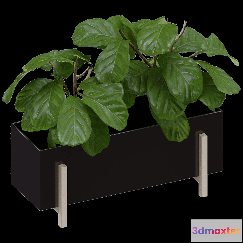 1603846 - Design House Stockholm - Flower Box Botanic 3D Max