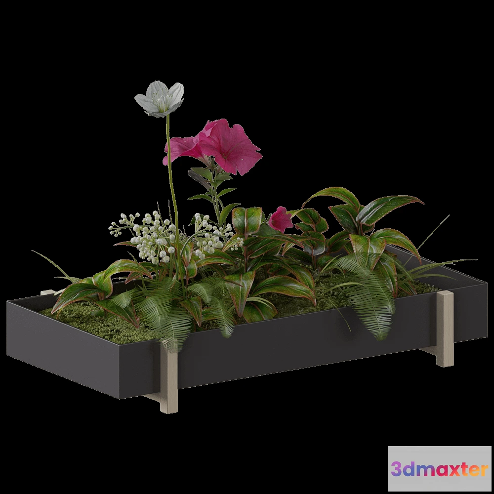 1603848 - Design House Stockholm - Tray Box & Pot Botanic 3D Max