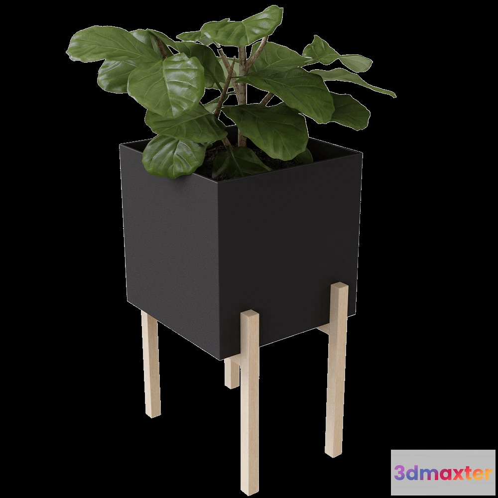 1603850 - Design House Stockholm - Pot Botanic 3D Max