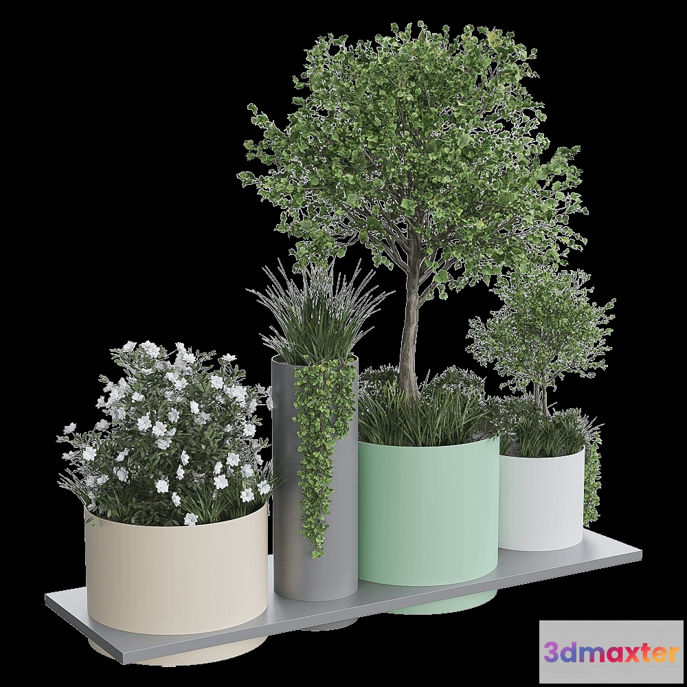 1603858 - mmcité - Planter Polys 3D Max