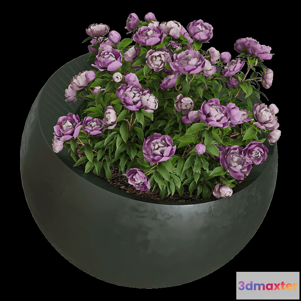 1603866 - Serralunga - Planter Uovo di Colombo 3D Max