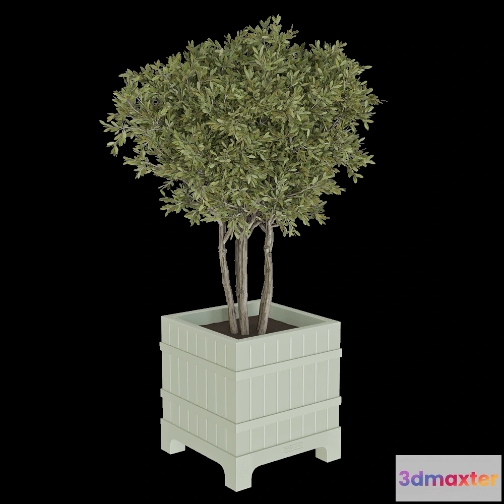 1603870 - Serralunga - Planter Versailles 3D Max