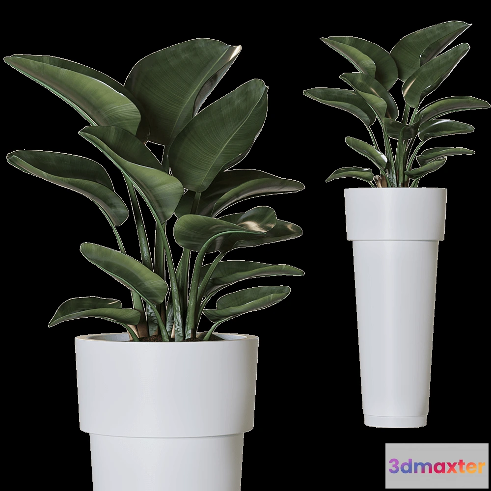 1603874 - Serralunga - Planter Marcantonio 3D Max