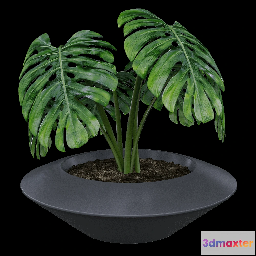 1603878 - Serralunga - Planter IN ORBITA 3D Max