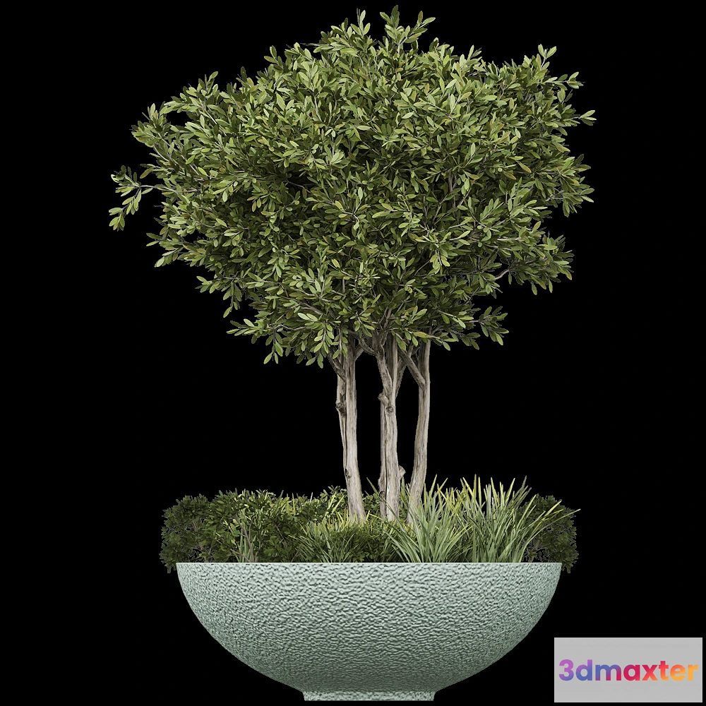 1603884 - Serralunga - Planter Ciotola Ruvida 3D Max