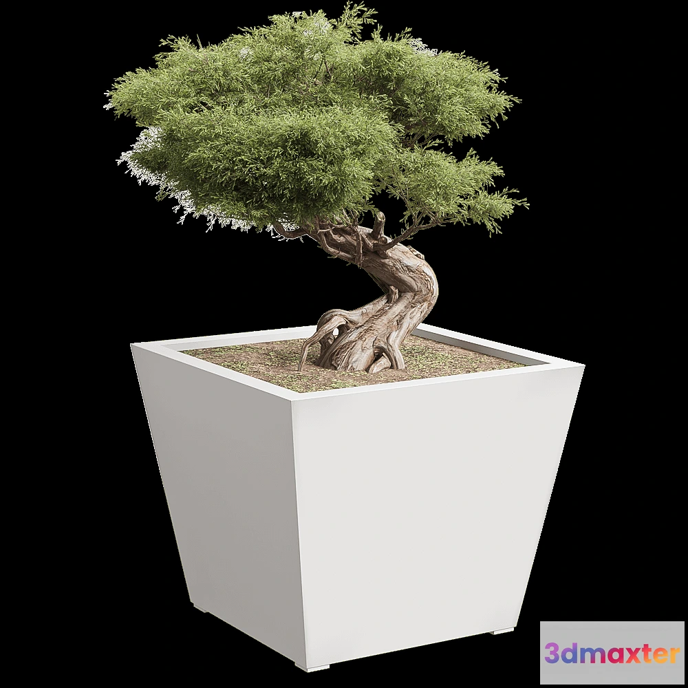1603888 - Serralunga - Planter Kabin 3D Max
