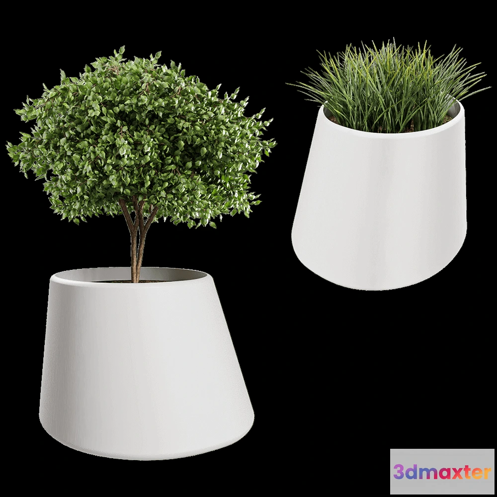 1603898 - Systemtronic - Plant Pot Conee 3D Max