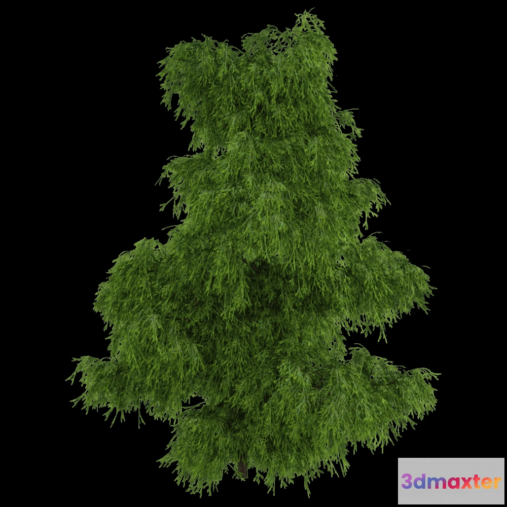 1603958 - decoration - Filifera Aureai 01 05 3D Max