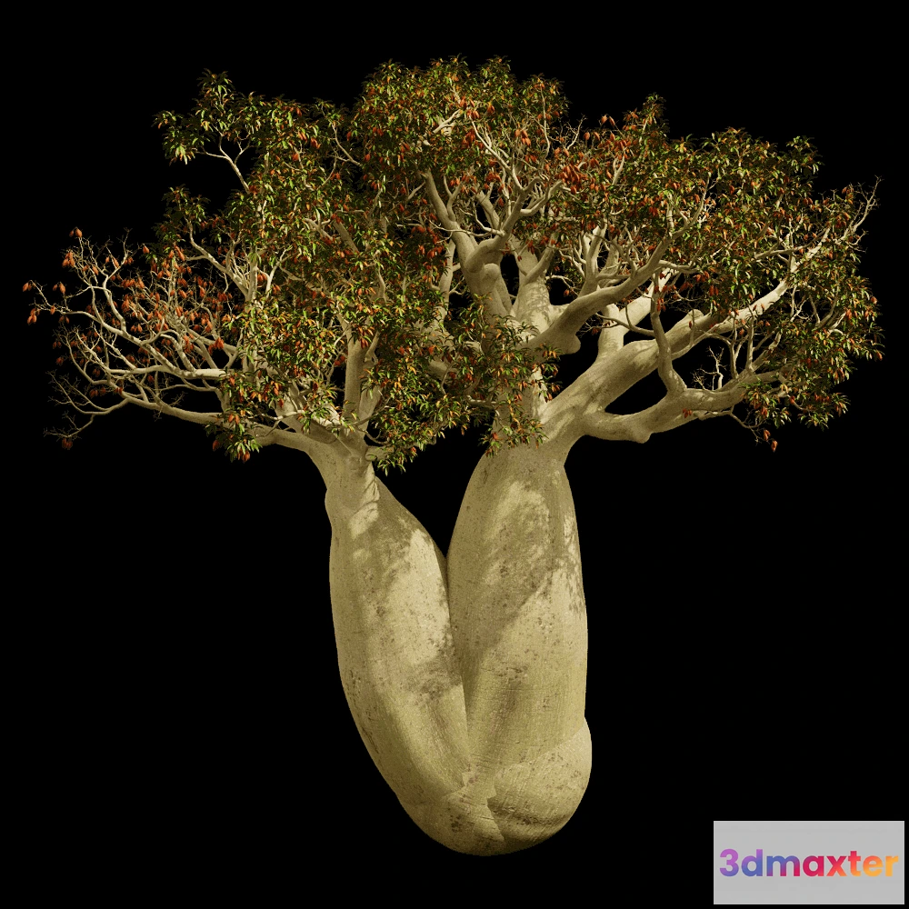 1604060 - decoration - Brachychiton Rupestris 01 06 3D Max