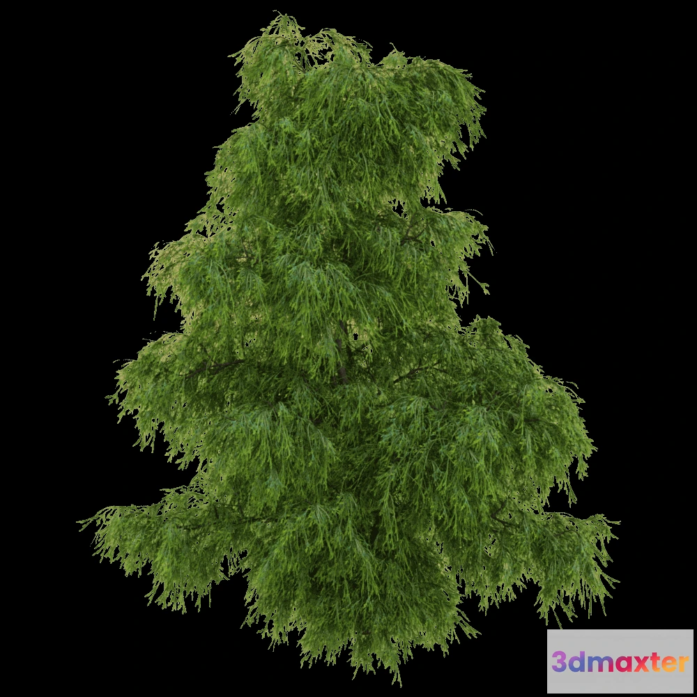 1604178 - decoration - Filifera Aureai 01 04 3D Max