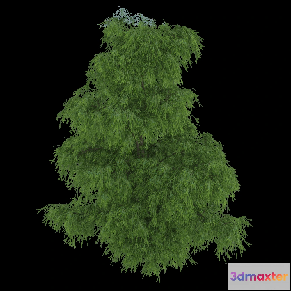 1604182 - decoration - Filifera Aureai 01 03 3D Max