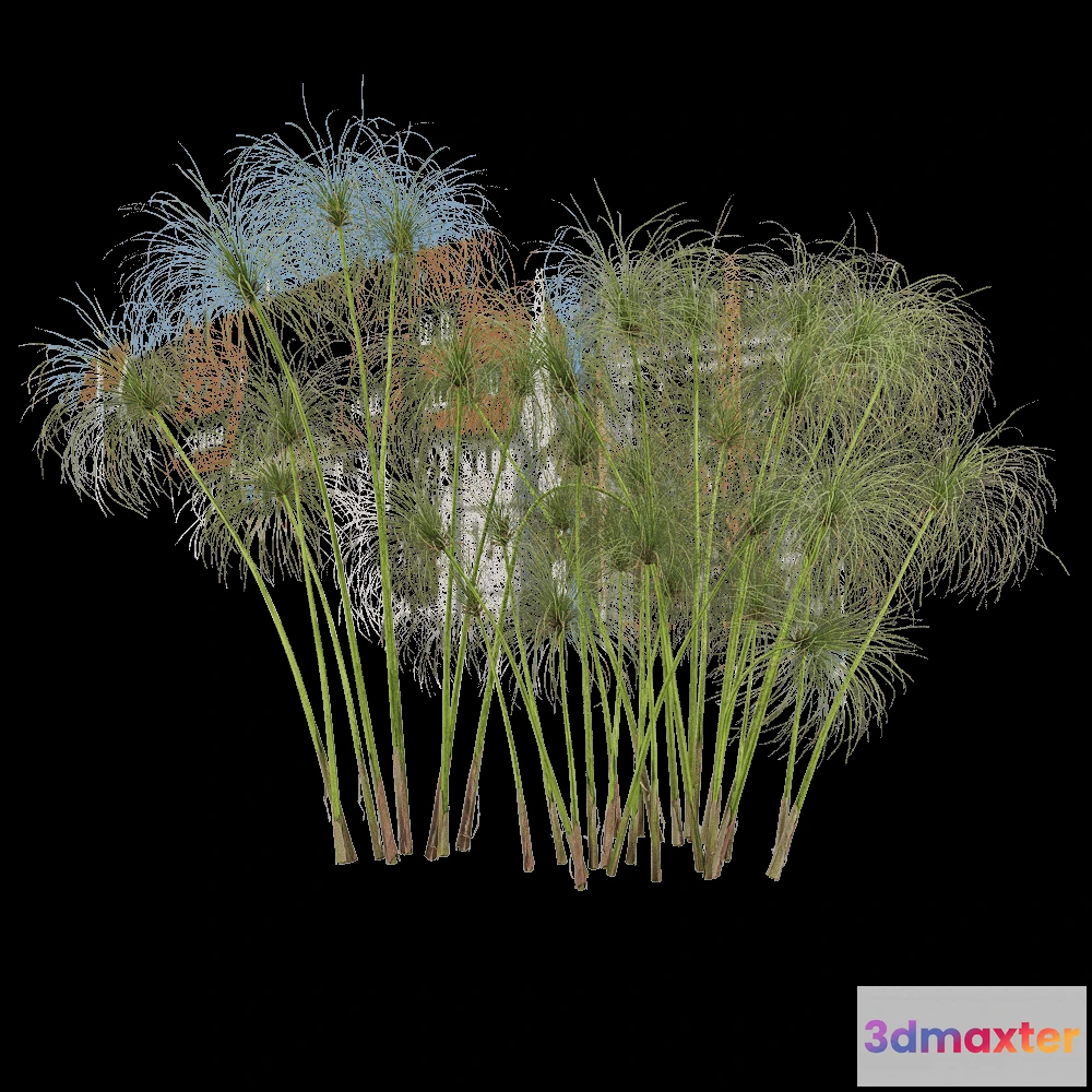 1604234 - decoration - Cyperus papyrus 4 3D Max