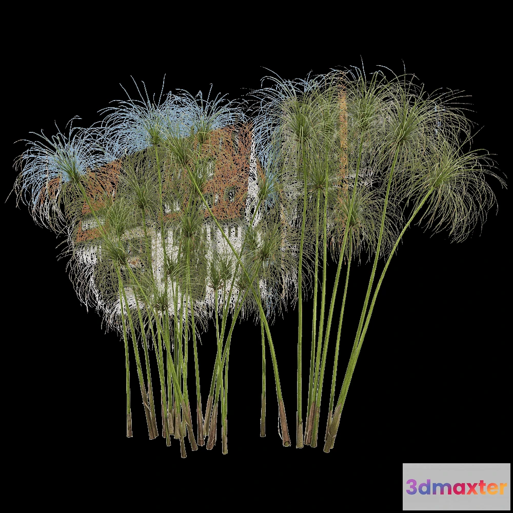 1604254 - decoration - Cyperus papyrus 3 3D Max
