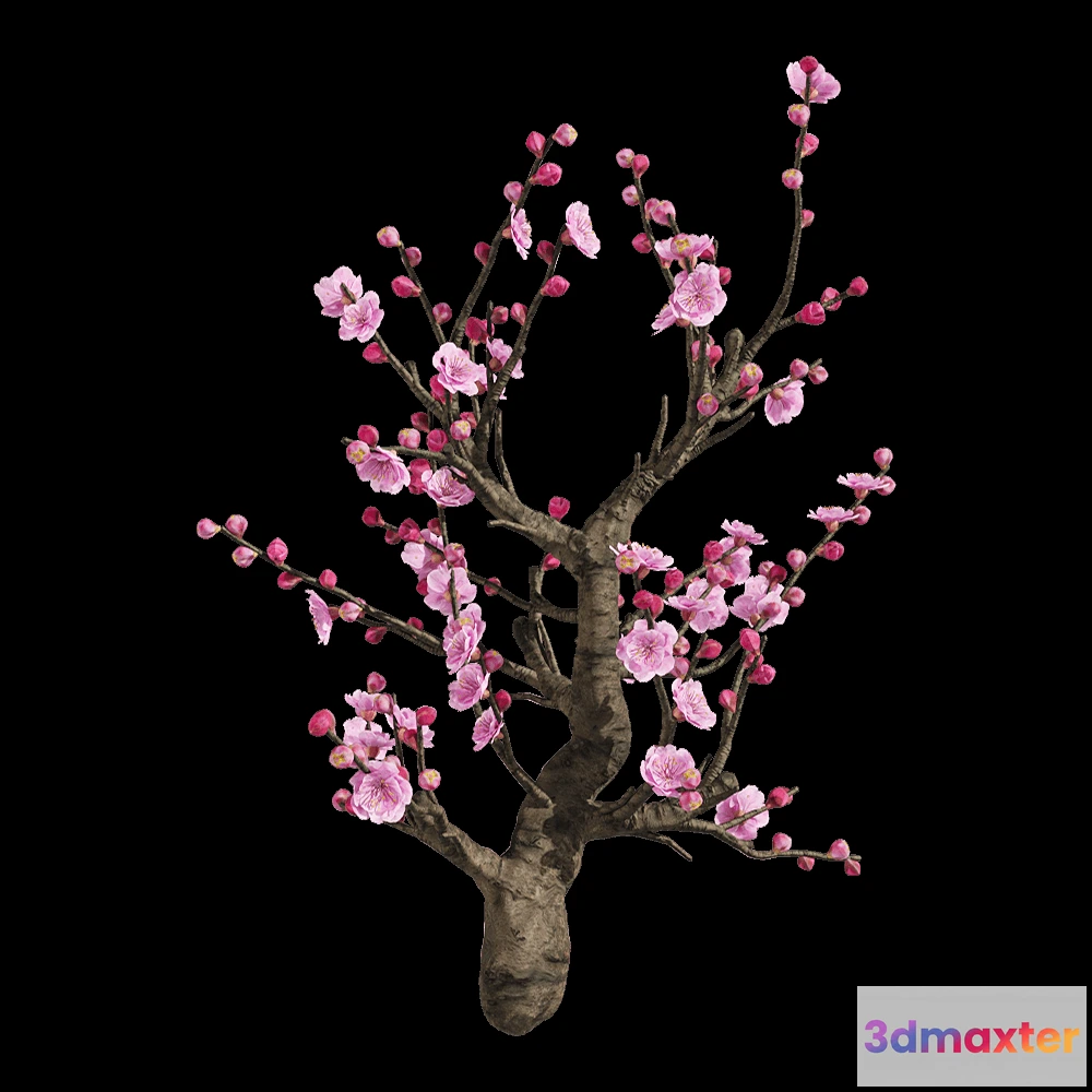 1604404 - decoration - Armeniaca mume 6 3D Max