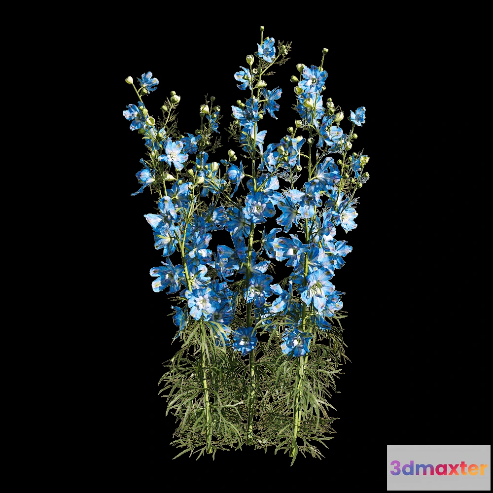 1604610 - decoration - Consolida ajacis 4 3D Max