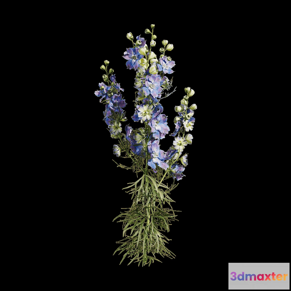 1604626 - decoration - Consolida ajacis 1 3D Max