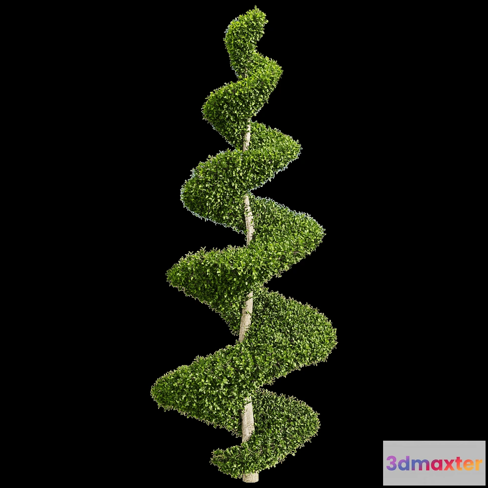 1604630 - decoration - Ficus concinna 6 3D Max