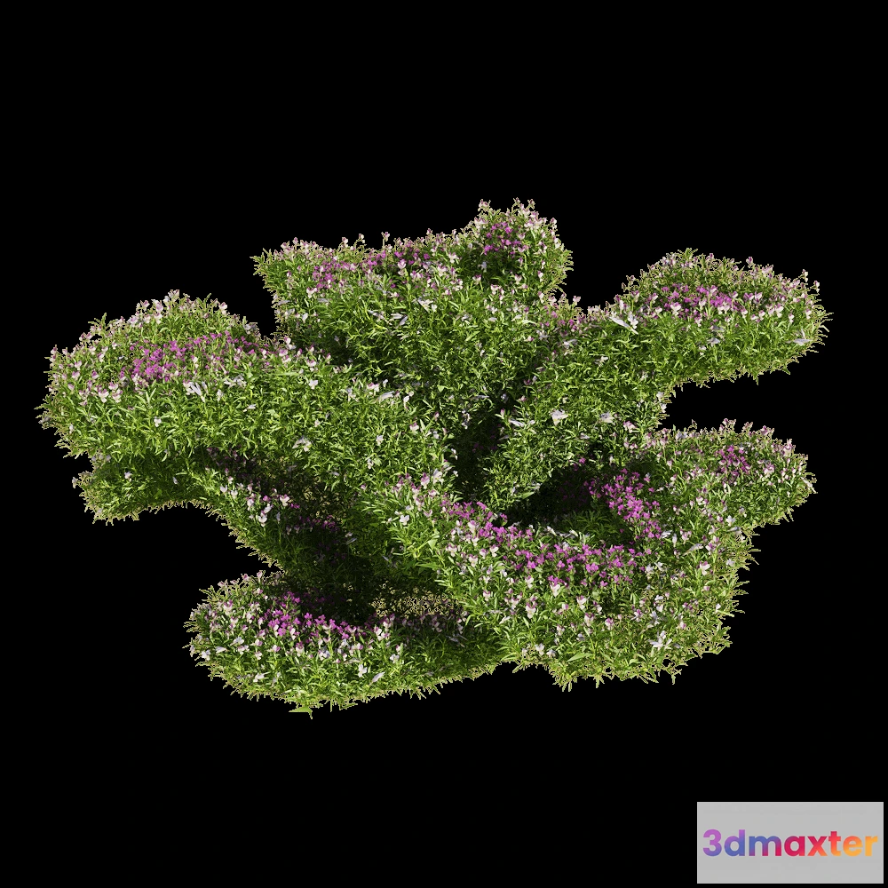 1604640 - decoration - Viola tricolor 6 3D Max