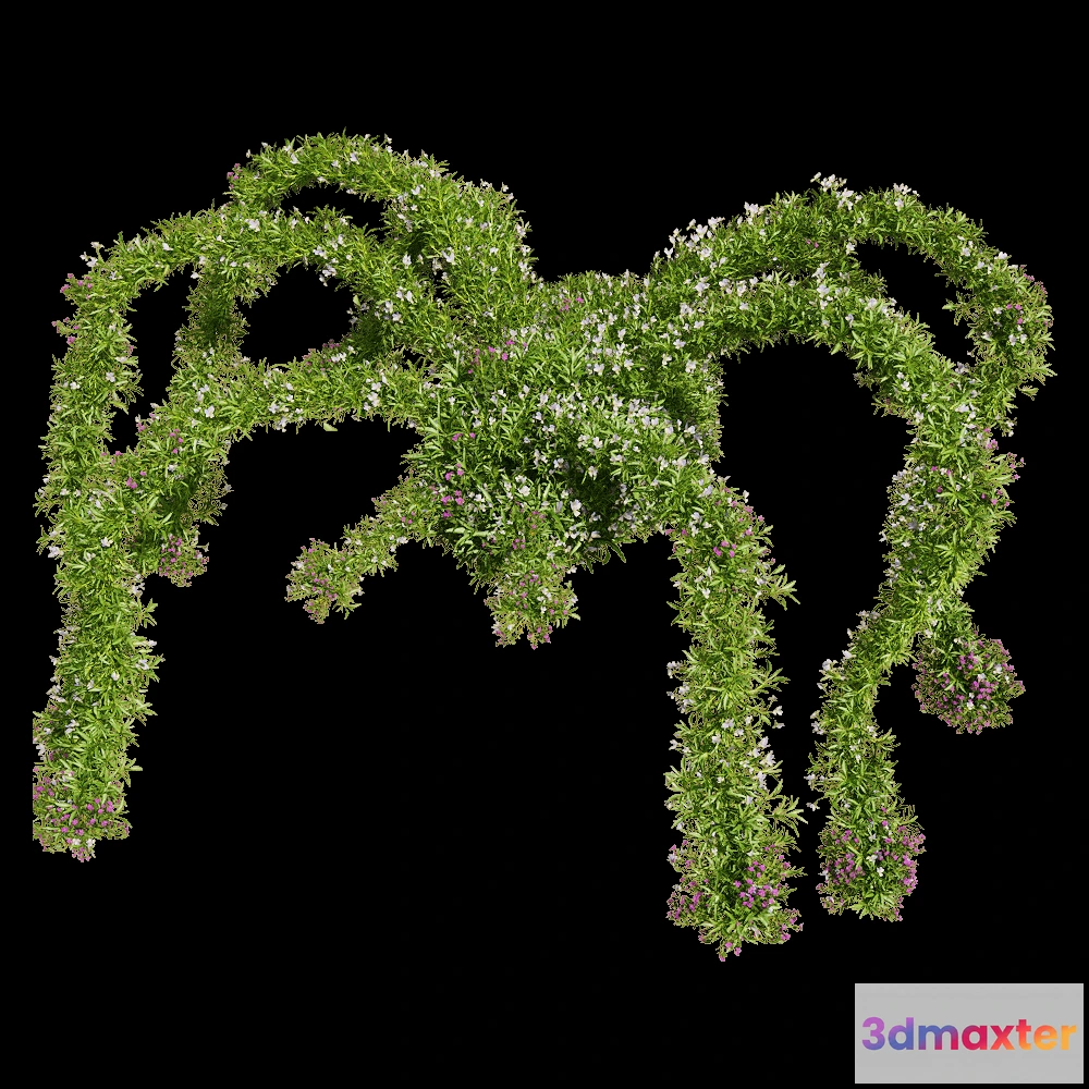 1604656 - decoration - Viola tricolor 12 3D Max