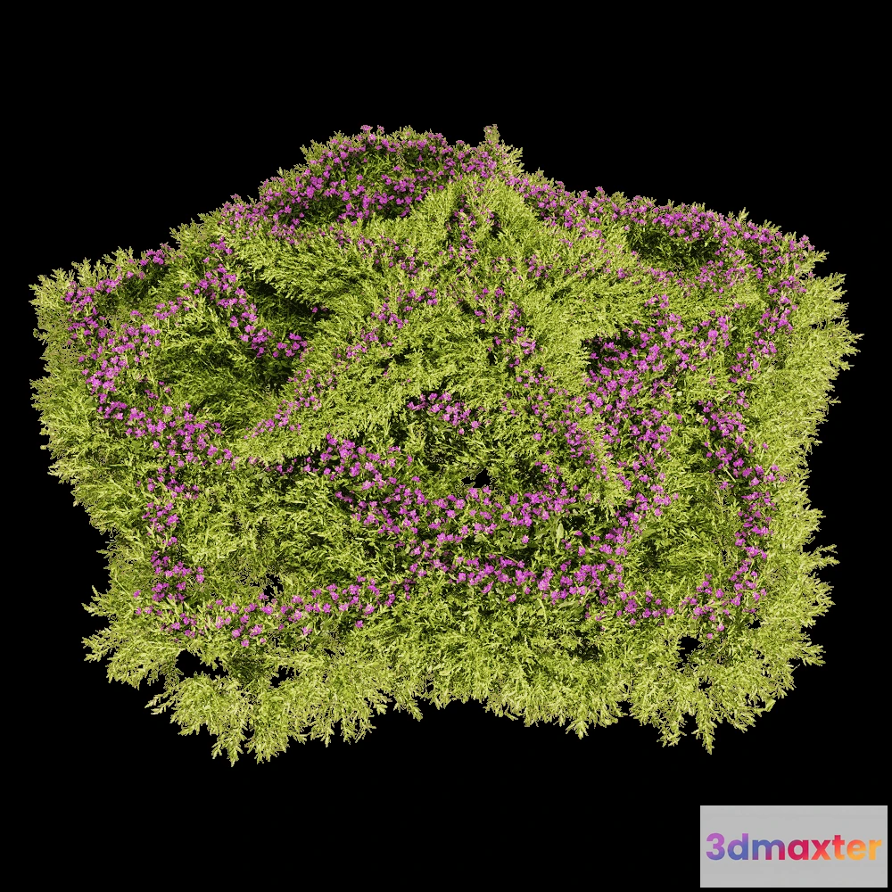 1604660 - decoration - Sedum sarmentosum 5 3D Max