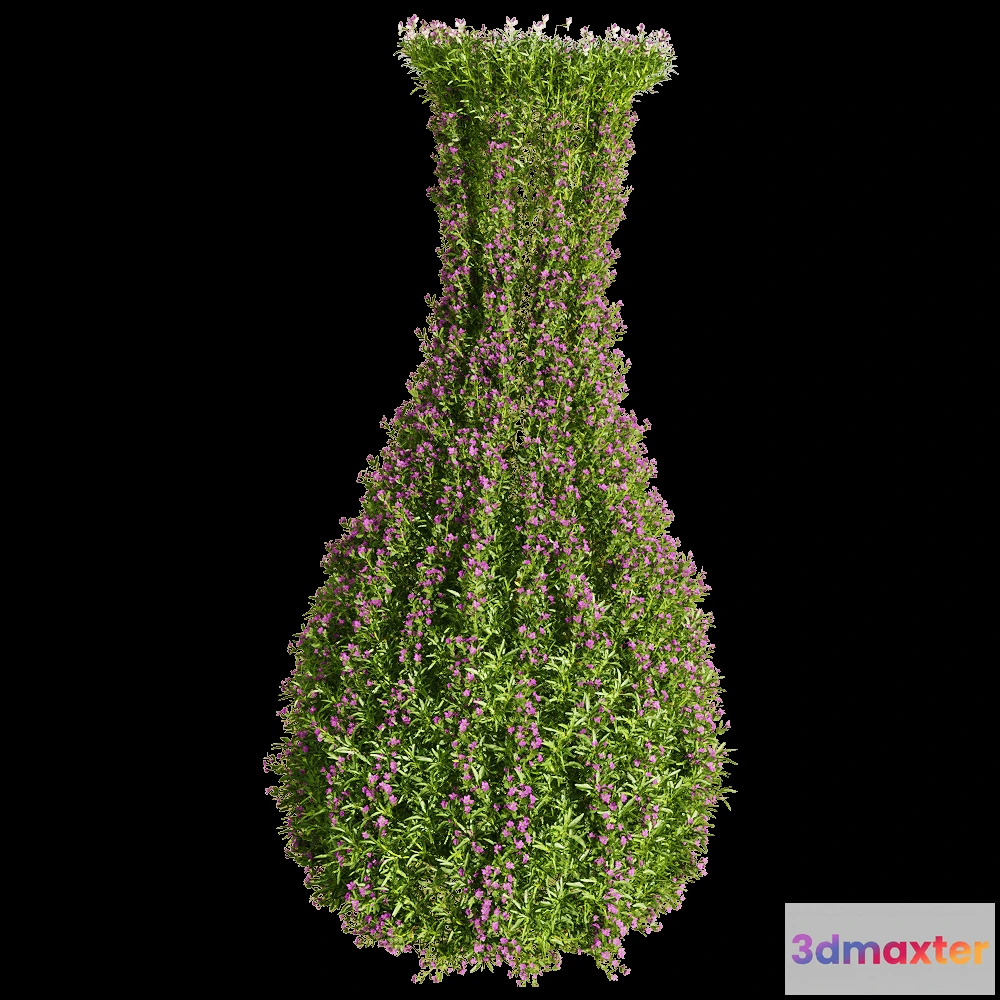 1604662 - decoration - Viola tricolor 2 3D Max