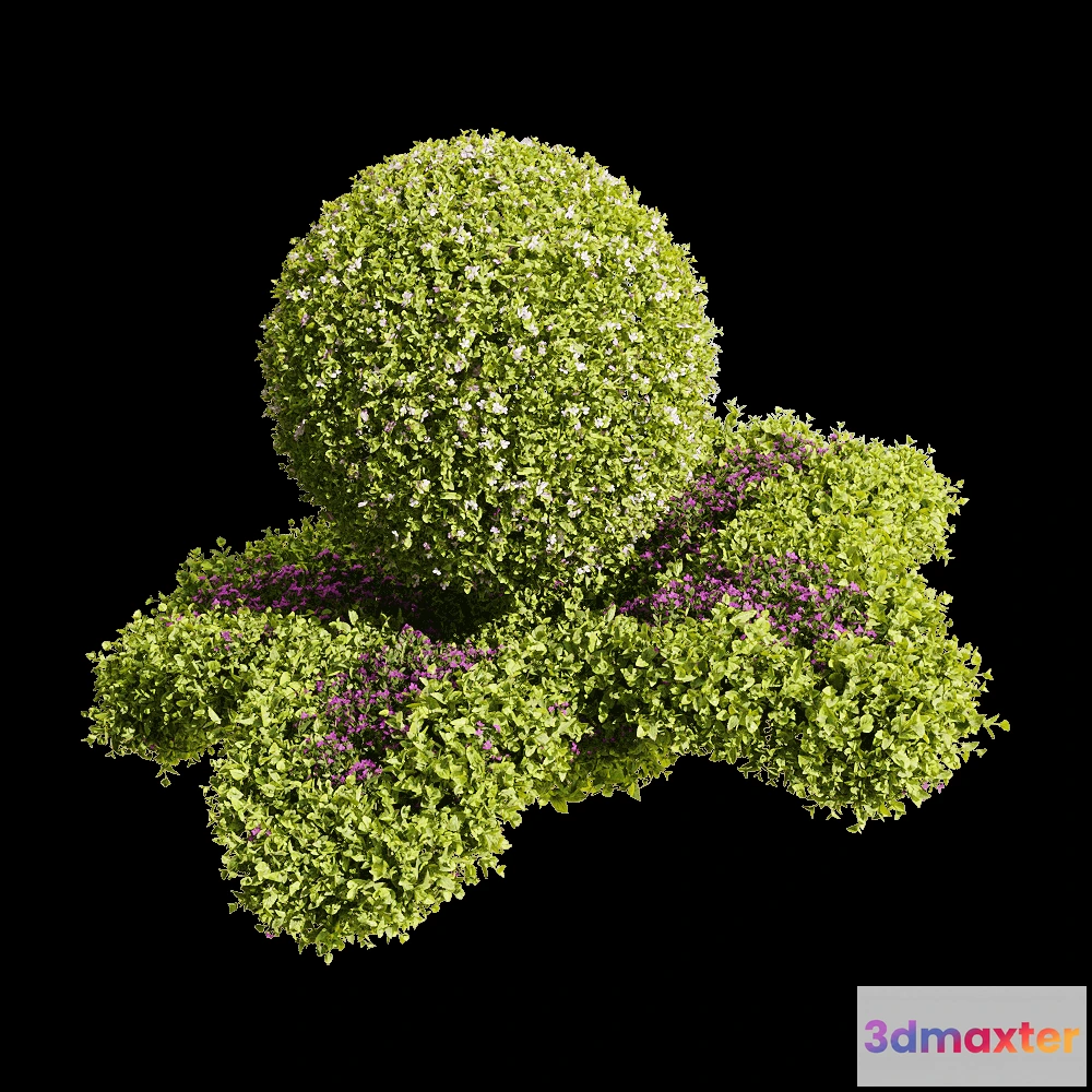 1604670 - decoration - Bacopa diffusa 5 3D Max