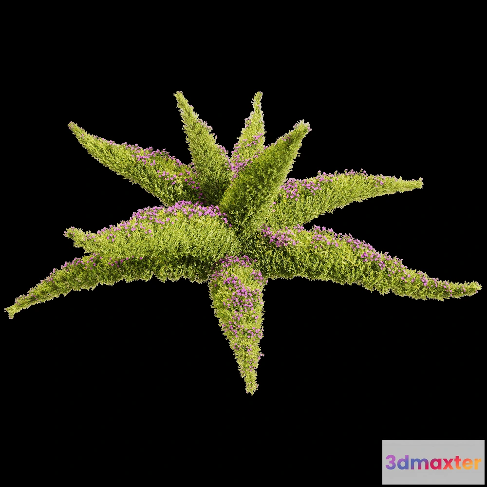 1604672 - decoration - Sedum sarmentosum 3 3D Max