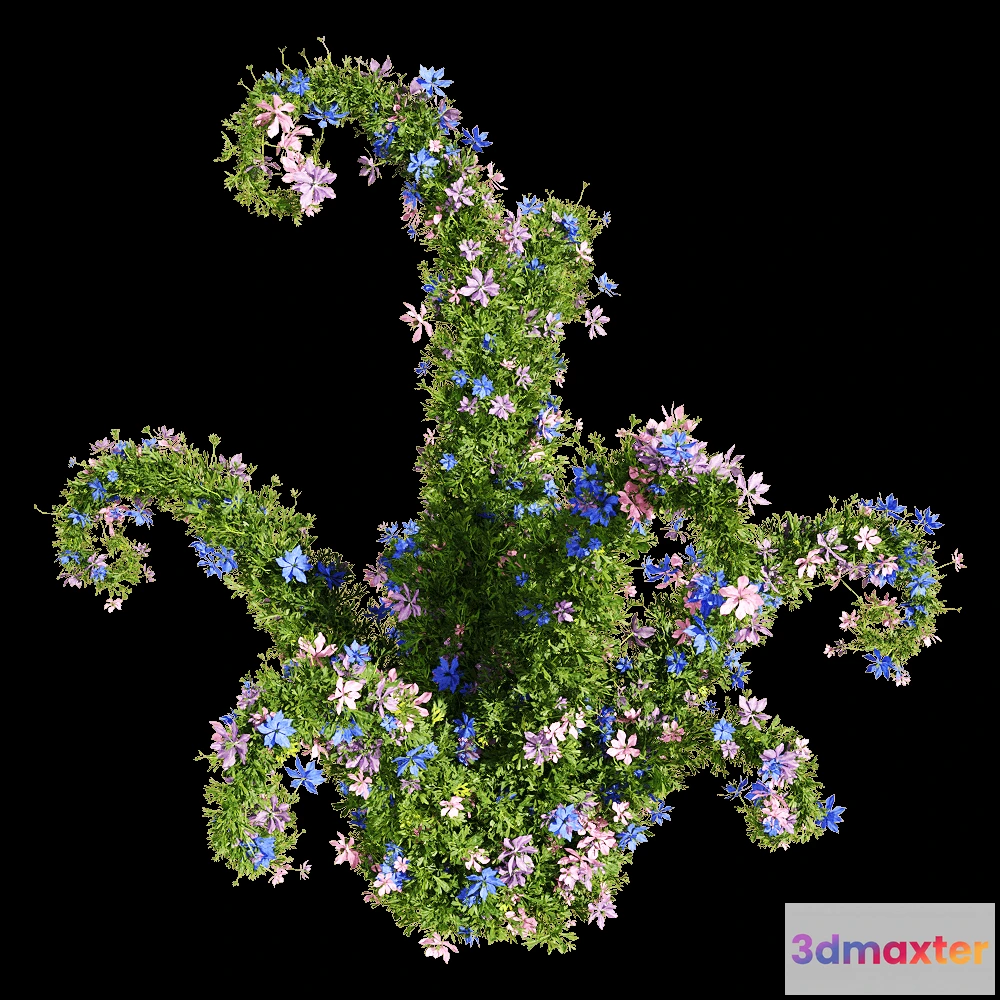 1604692 - decoration - Nigella damascena 6 3D Max