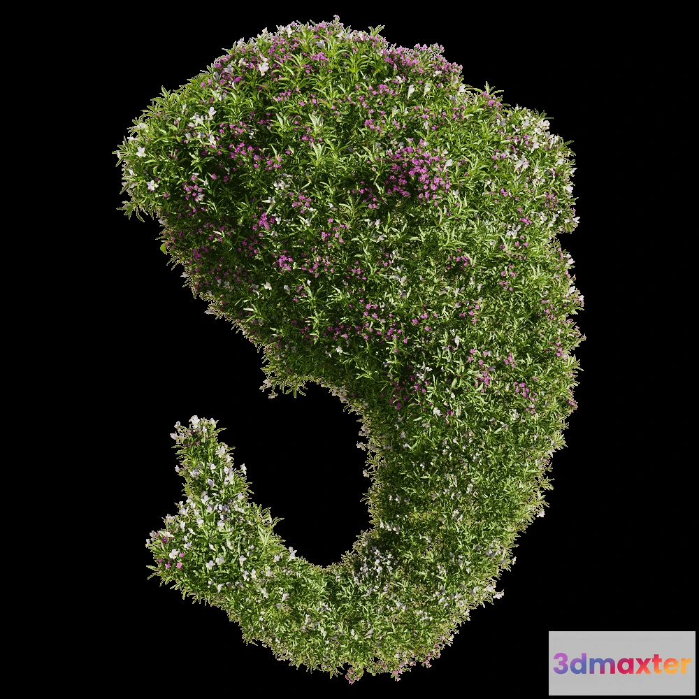 1604712 - decoration - Viola tricolor 9 3D Max