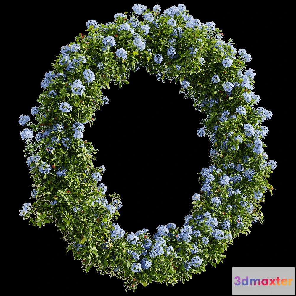 1604716 - decoration - Ceratostigma plumbaginoides 6 3D Max