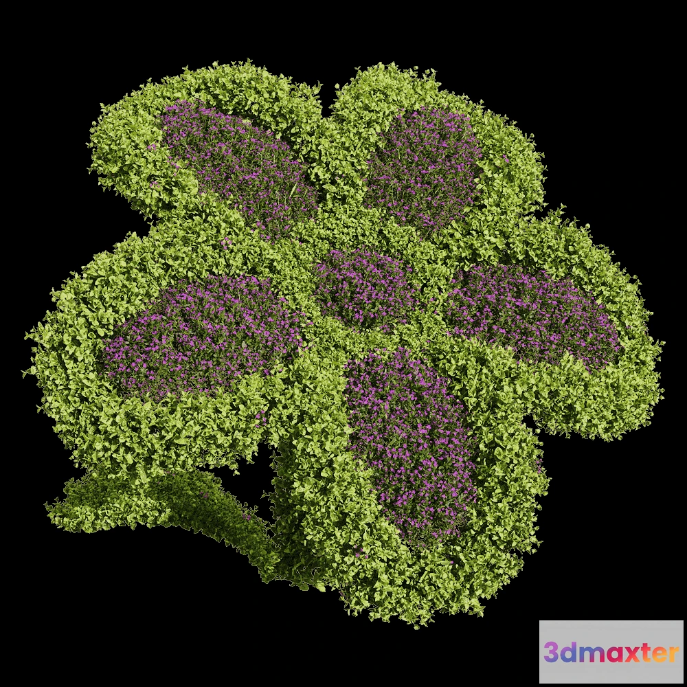 1604722 - decoration - Bacopa diffusa 6 3D Max