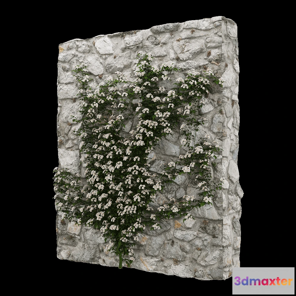 1604846 - decoration - Rosa cymosa 4 3D Max