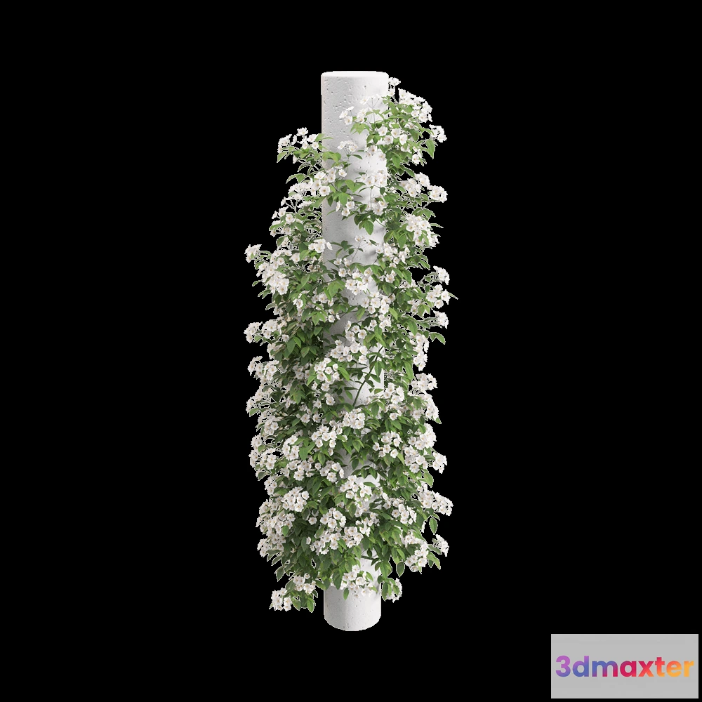 1604880 - decoration - Rosa Cymosa  6 3D Max