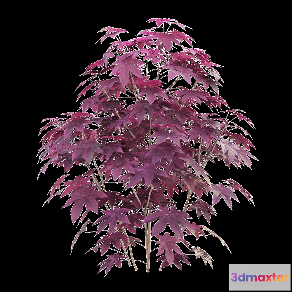 1604908 - decoration - Ricinus communis 04 3D Max