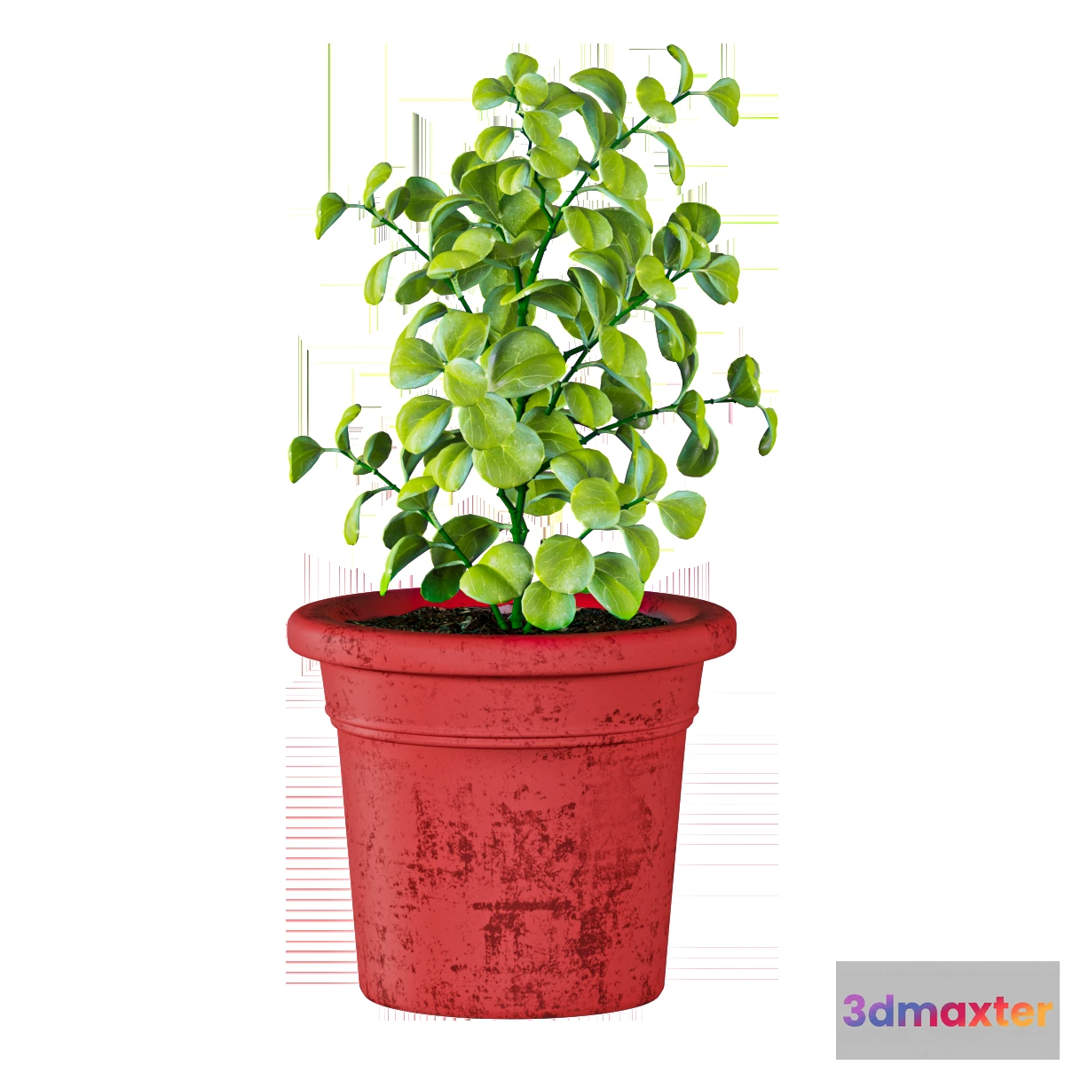 1605024 - decoration - Plant in a pot 3D Max