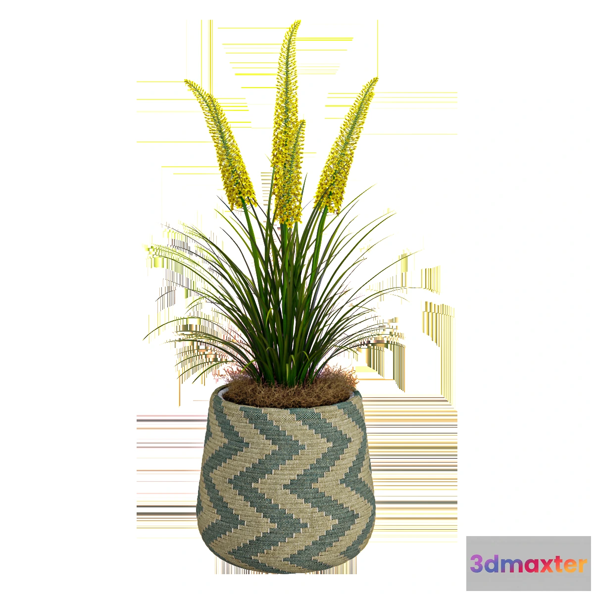 1605026 - decoration - Creative plant 03 3D Max