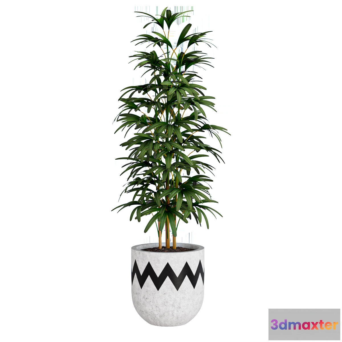 1605034 - decoration - Bamboo plant 3D Max