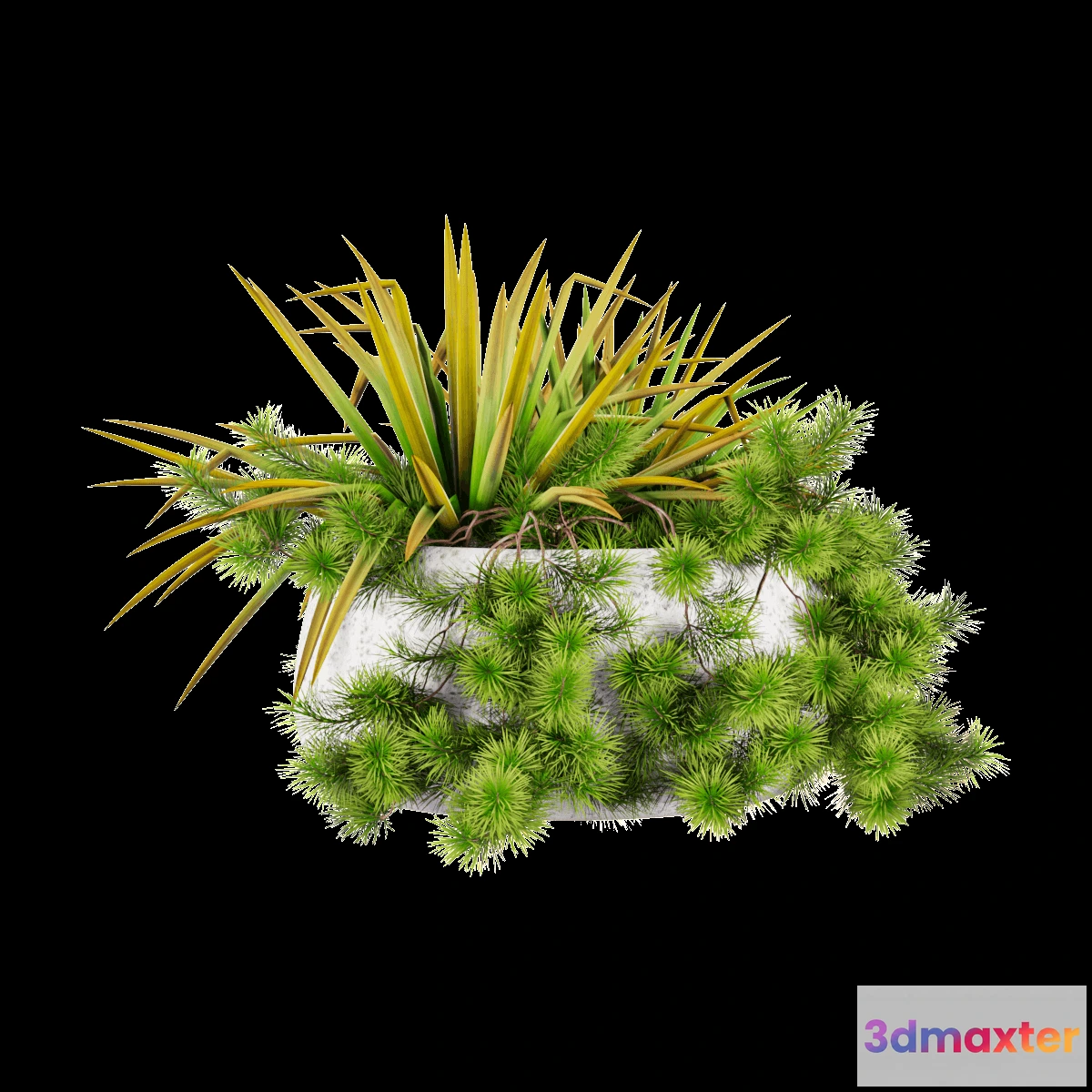 1605040 - decoration - Plant in a pot 3D Max