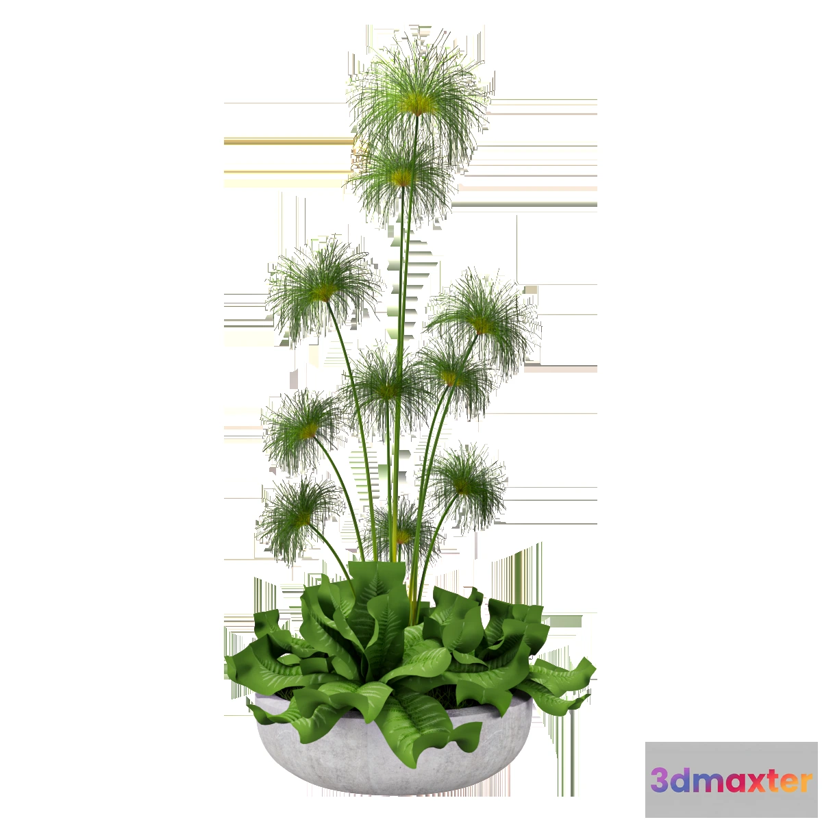 1605050 - decoration - Decorative plant 02 3D Max