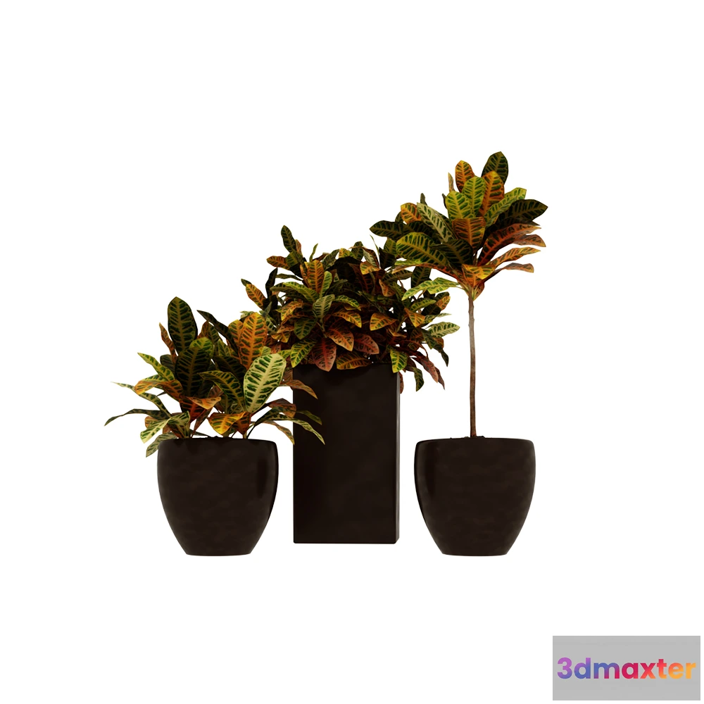 1605062 - decoration - Plants 006 3D Max