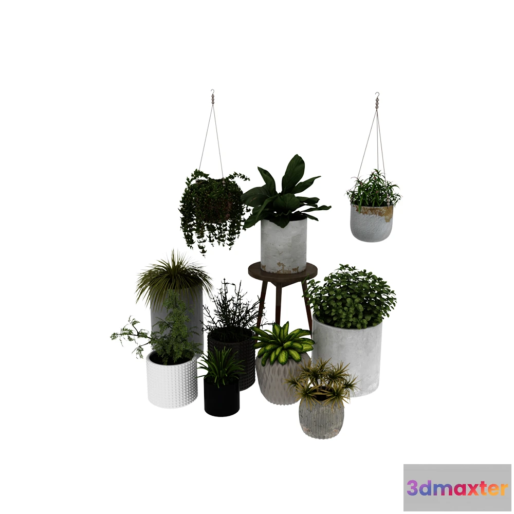 1605064 - decoration - Plants collection 058 3D Max