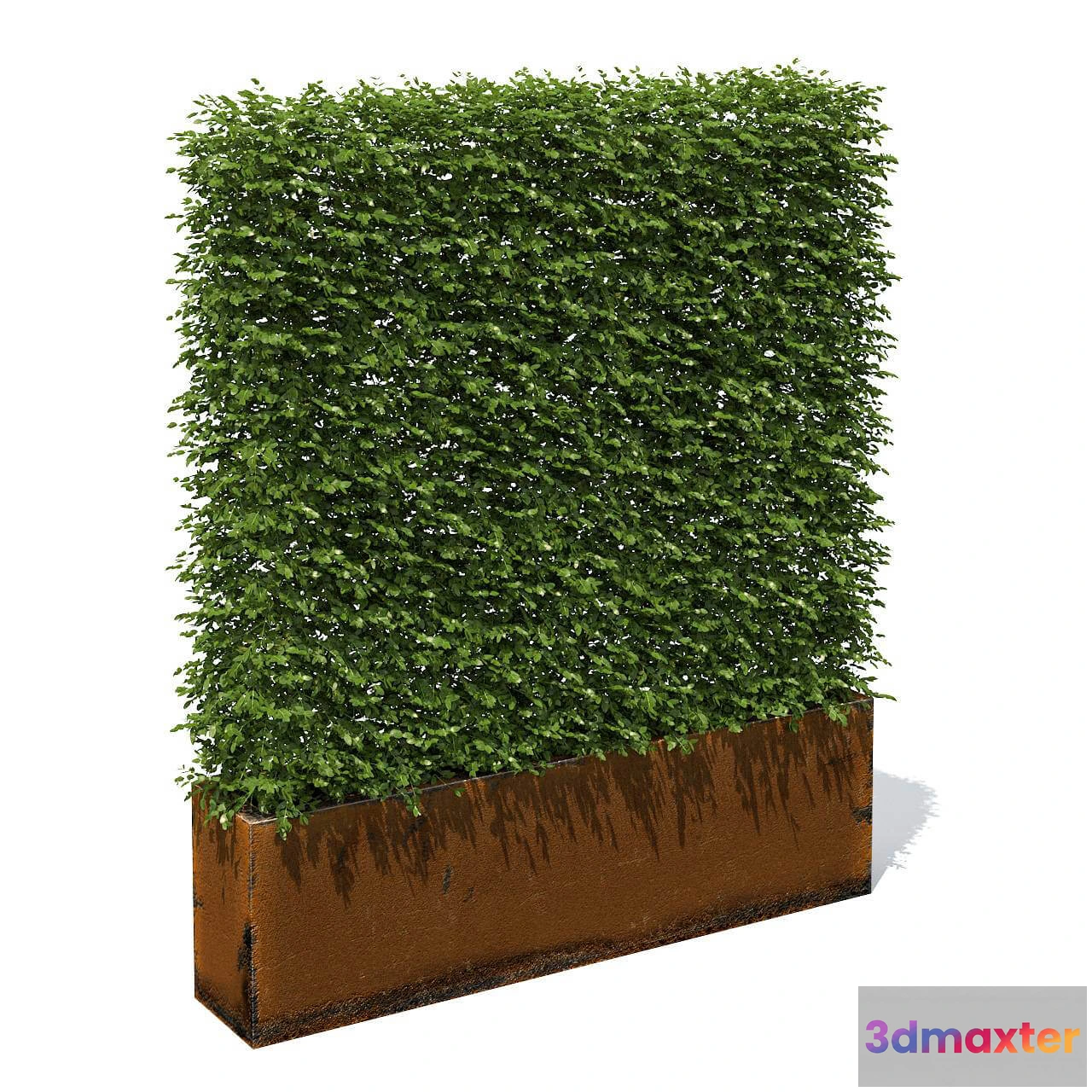 1605094 - decoration - High hedges 19 3D Max