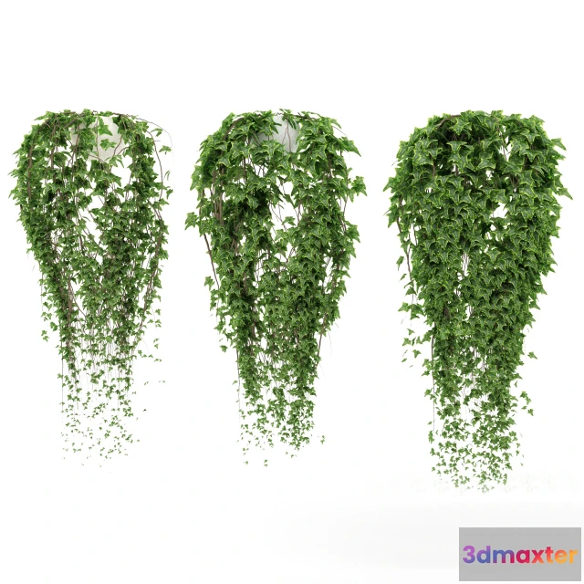 1605116 - decoration - Plants 004 3D Max