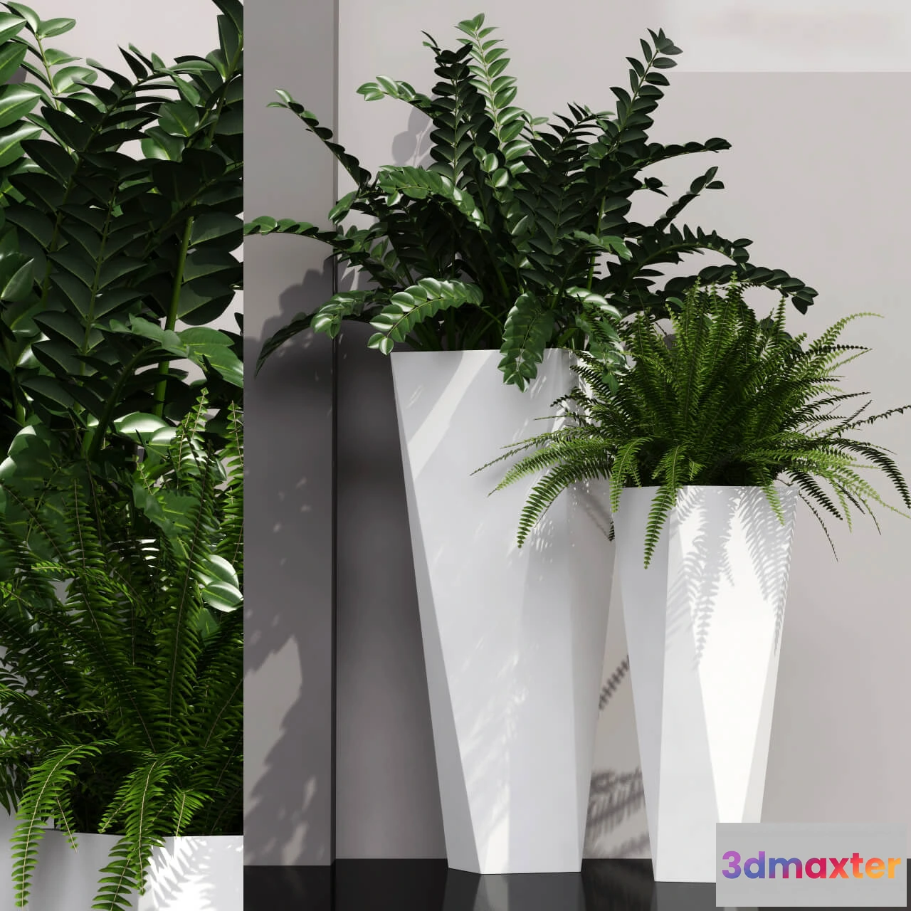 1605140 - decoration - Plants 19 3D Max