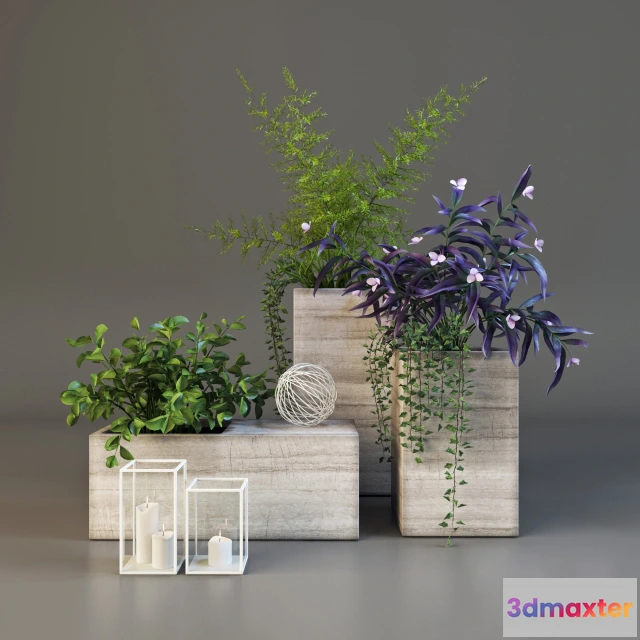 1605144 - decoration - Decorative plants set 6 3D Max