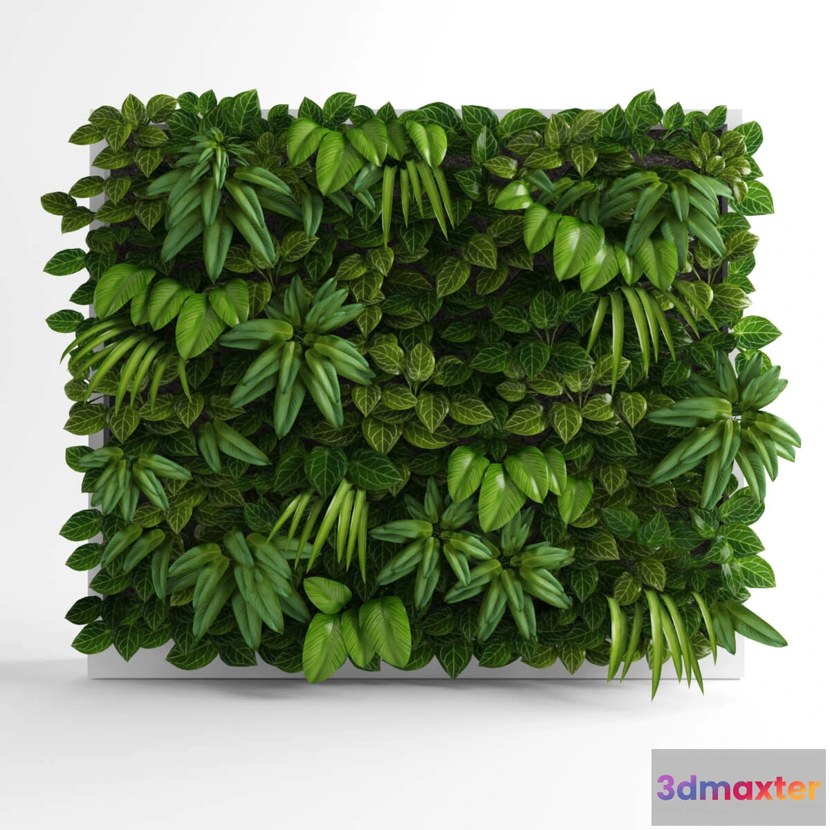 1605150 - decoration - Green wall 08 3D Max