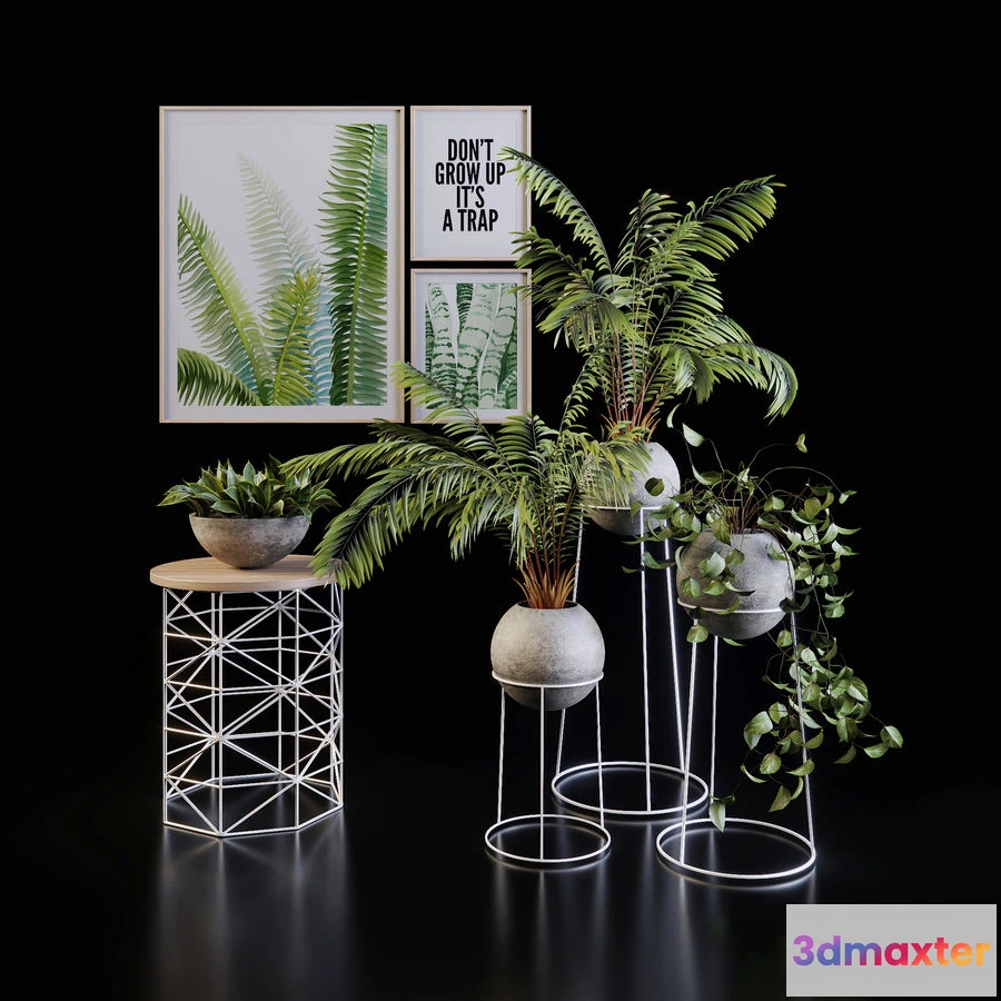 1605152 - decoration - Plants set 107 3D Max