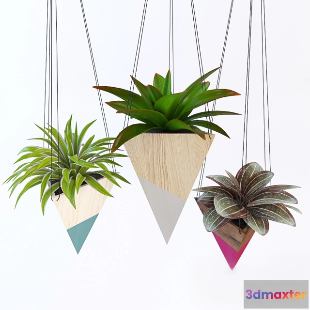 1605160 - decoration - Hanging plants 06 3D Max
